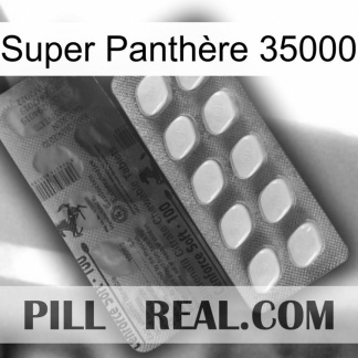 Super Panthère 35000 34